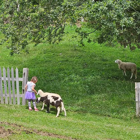 Tourist Farm Pr'dovar Bed & Breakfast 3*