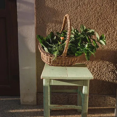 Bed & Breakfast Tourist Farm Pr'dovar 3*