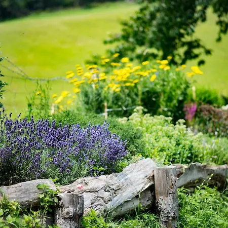 Bed & Breakfast Tourist Farm Pr'dovar Cerklje na Gorenjskem