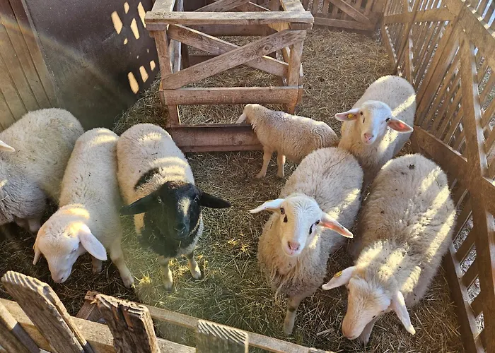 Tourist Farm Pr'dovar Cerklje na Gorenjskem