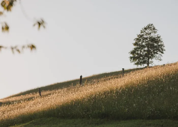 Bed and Breakfast Tourist Farm Pr'dovar
