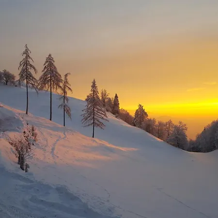 Tourist Farm Pr'dovar Отель типа 
