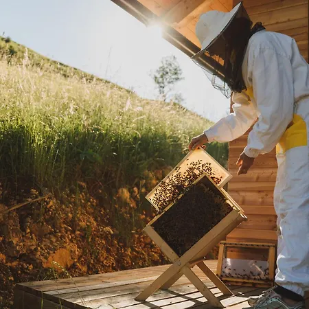 Tourist Farm Pr'dovar Отель типа 