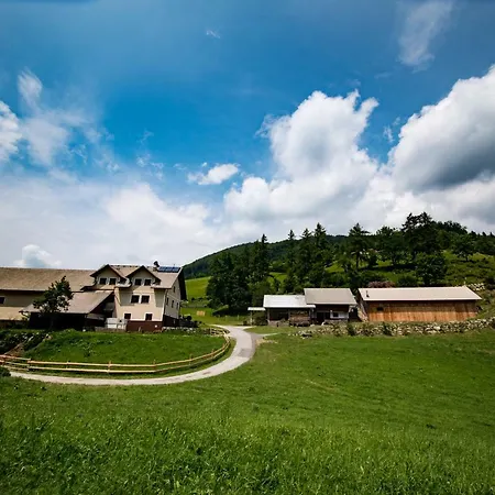 Tourist Farm Pr'dovar Oda ve Kahvaltı Cerklje na Gorenjskem