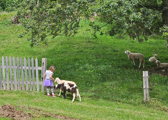 Tourist Farm Pr'dovar Bed and Breakfast 3*