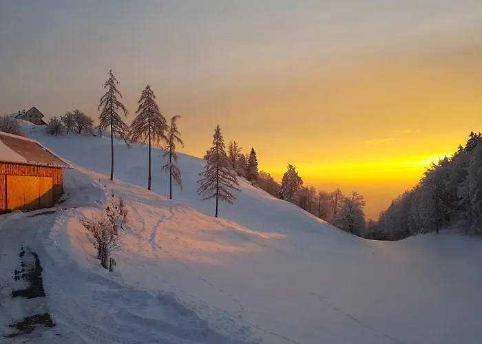 Tourist Farm Pr'dovar Bed & Breakfast 3*