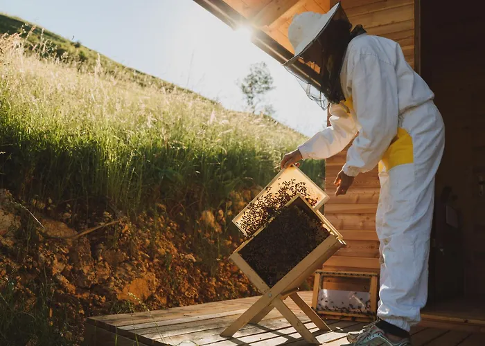 Tourist Farm Pr'dovar Bed and Breakfast