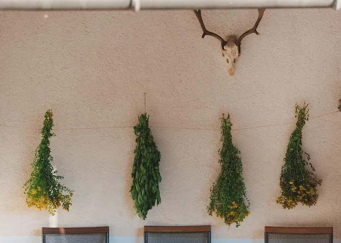 Tourist Farm Pr'dovar Cerklje na Gorenjskem