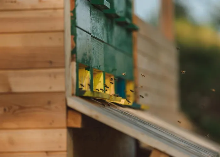 Tourist Farm Pr'dovar