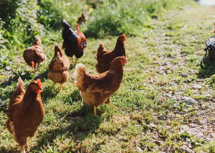 Tourist Farm Pr'dovar 3*