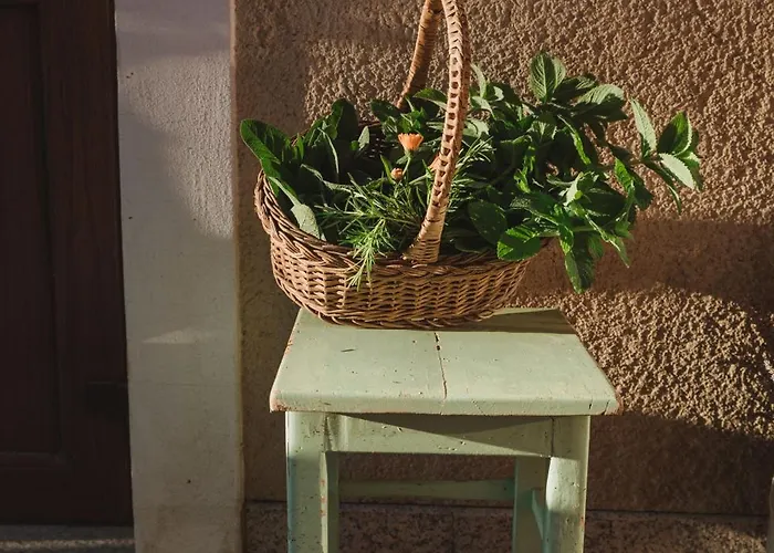 Bed and Breakfast Tourist Farm Pr'dovar 3*