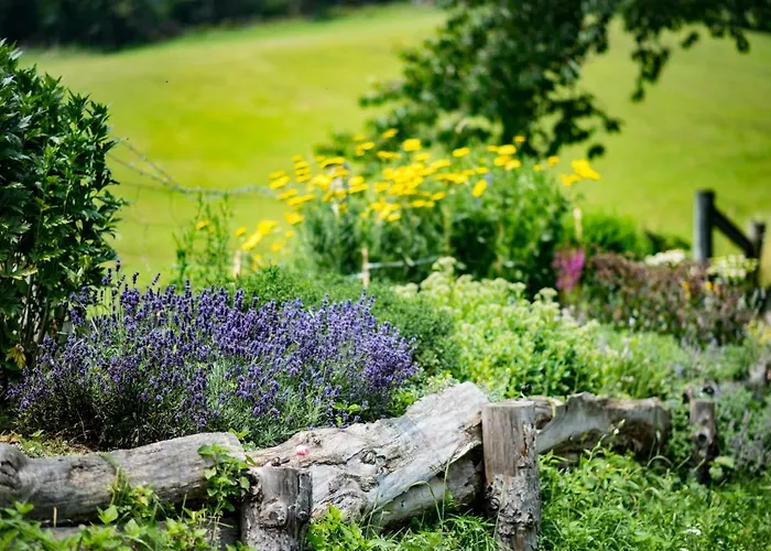 Bed & Breakfast Tourist Farm Pr'dovar Cerklje na Gorenjskem